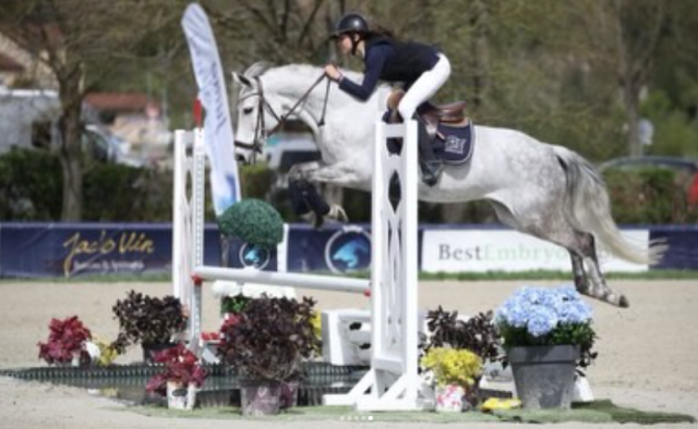Poney de sport - toisé fei - aselite/csi