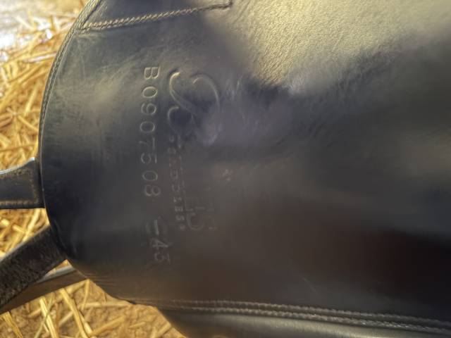 Selle de dressage Bates Isabell Werth en cuir noir, tai