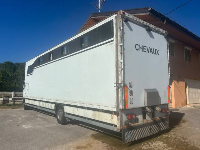 Camion chevaux 9 places