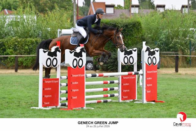 Cheval cso
