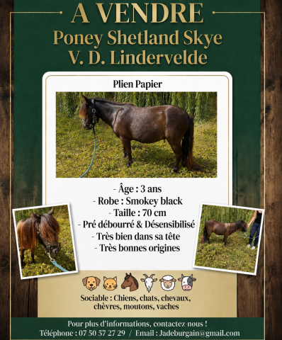 Poney shet