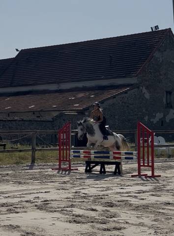 Grand poney c
