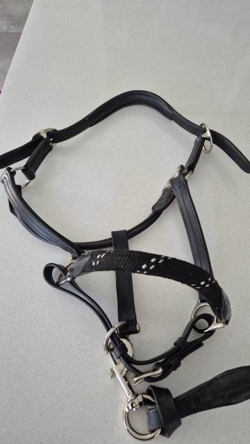 Licol corde et cuir