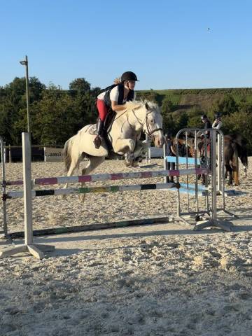 A louer ponette d