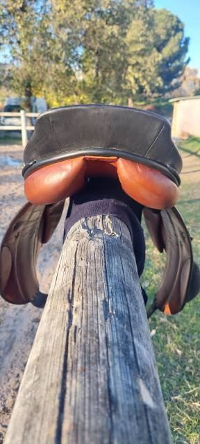 Selle stubben 