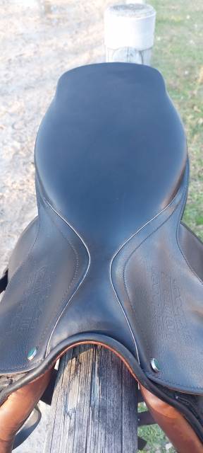 Selle stubben 