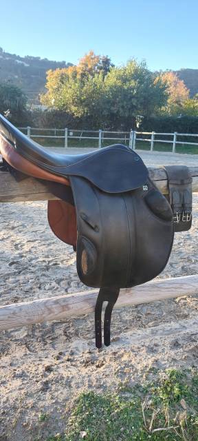 Selle stubben 