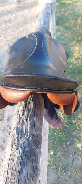 Selle stubben 