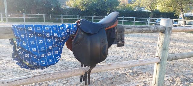 Selle stubben 