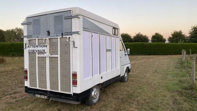 Renault master camion chevaux