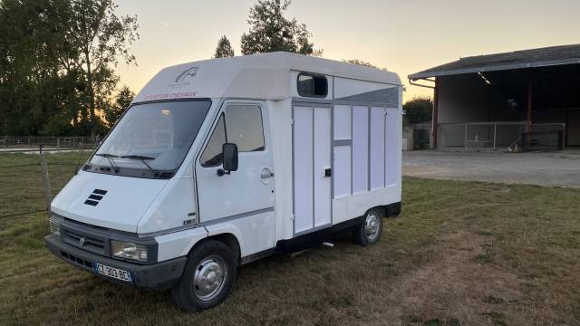 Renault master camion chevaux