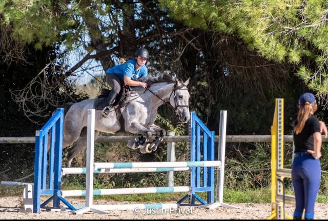 Jument de sport  