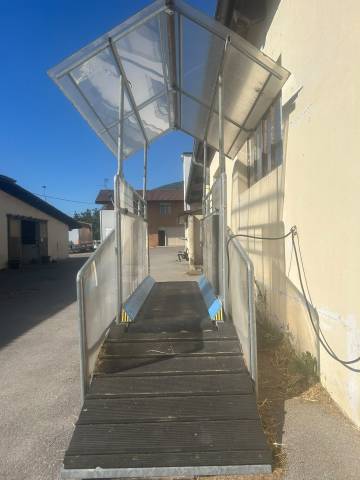 Tapis Roulant Horse Gym 2000