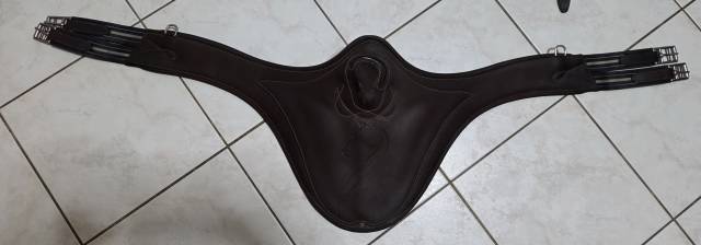 Sangle bavette anatomique Antares confort taille 135