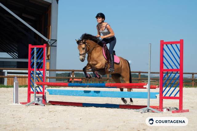 Ponette connemara 6 ans idéale enfants
