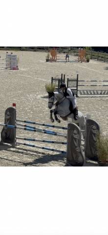 Vends cheval cso gros moyens