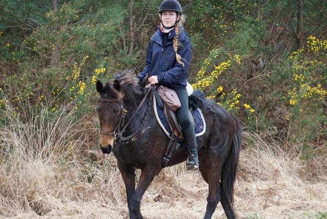 Jument aqps, 11a, extérieur(trec, rando, endurance,cso)