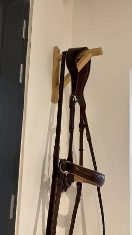 Bridon sans mors Aliz&eacute;e mistral