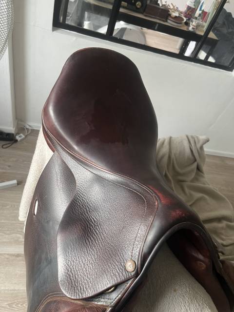 Selle forestier 