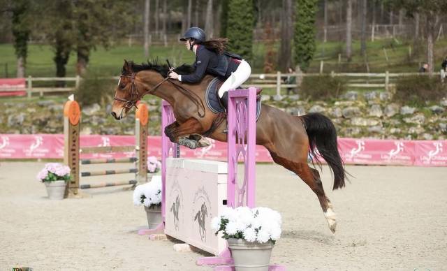 Poney d