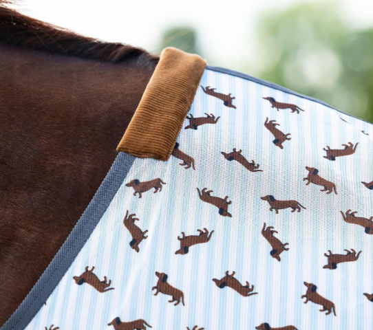 Couverture anti mouches Stable Buddy - QHP - Tissu mesh fin