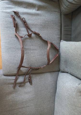 Filet anatomique cuir marron, taille CS