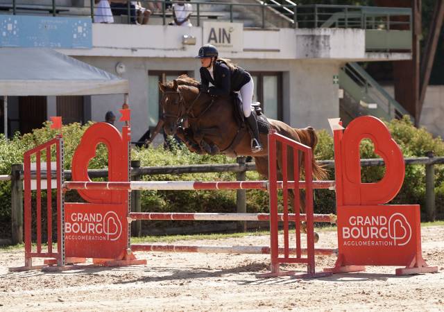 Hongre zangersheide 5ans
