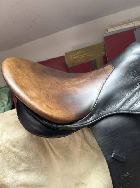 Selle dressage stĂŒbben maestoso havane arcade 31 Ń.17,5