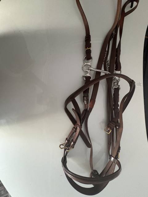&eacute;quipements cheval trait &ndash; mors, bridon et licols