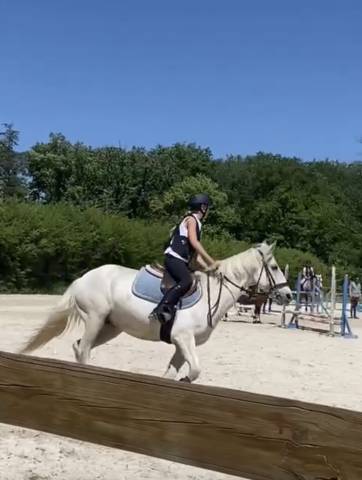 Tapis kentucky 
