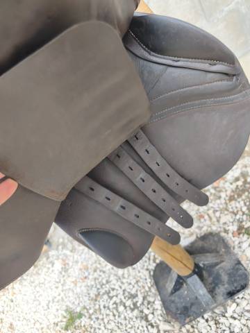 Selle forestier S&eacute;oul 
