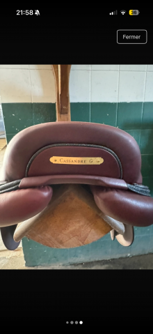 Selle CWD Swarovski noir 