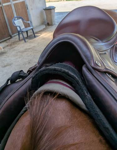 Selle Chiberta lab 