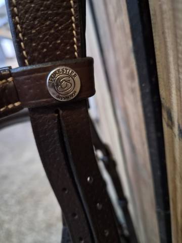 Bridon Forestier marron, avec muserolle anatomique