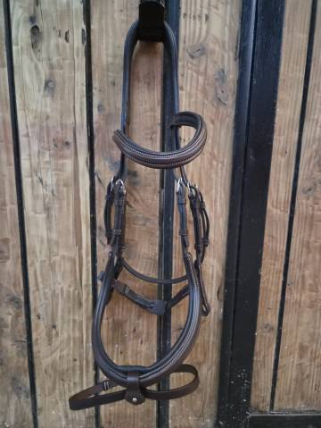 Bridon Forestier marron, avec muserolle anatomique