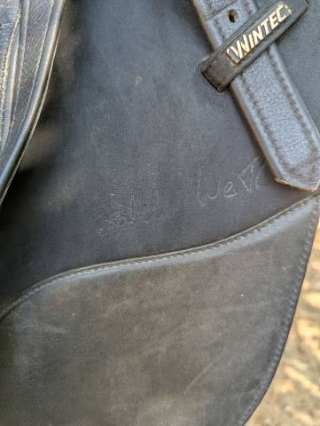 Selle Wintec Isabelle werth