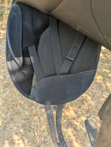 Selle Wintec Isabelle werth