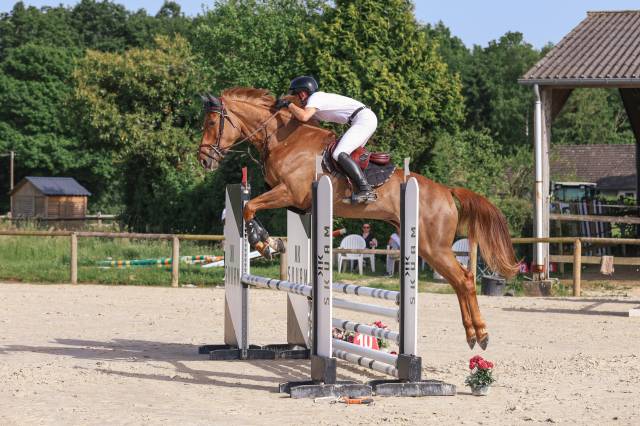 Jument 5 ans alezane 1m70