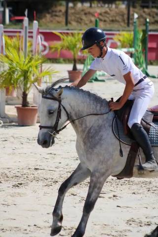 Ponette idéale pour cso et cce