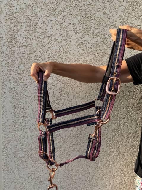 licol norton taille cheval 