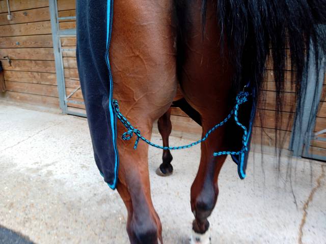 Couverture polaire