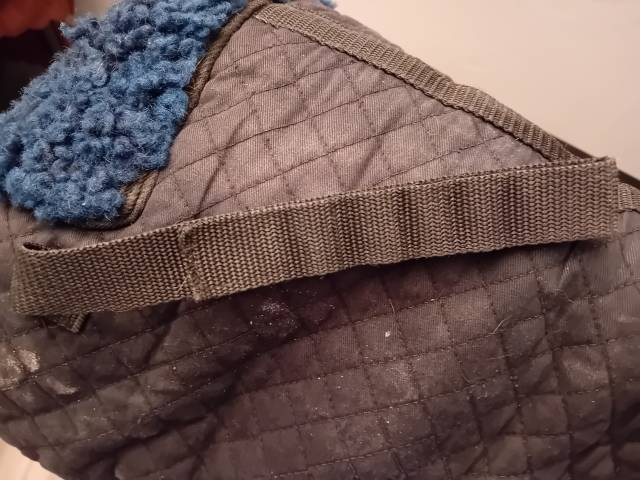Amortisseur de dos - mouton v&eacute;ritable