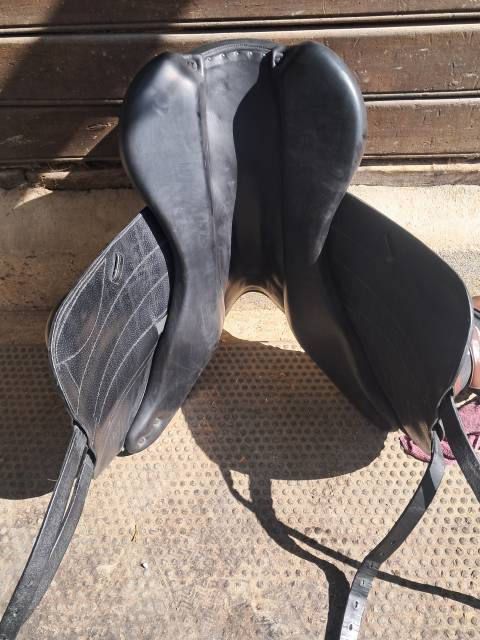 Selle Forestier Boekelo 17,5" toute veau + sangle 2024