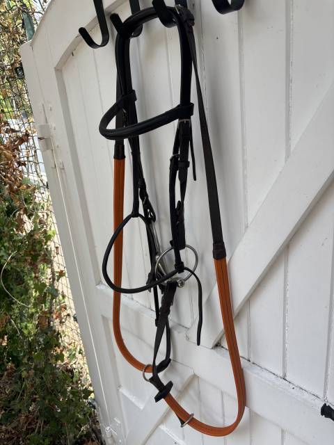 Vends filet pur-sang avec mors simple