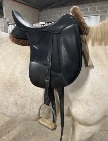 Selle Isabell Werth dressage