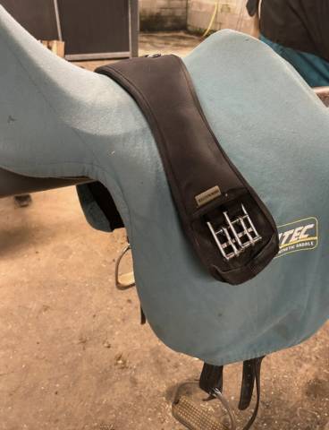 Selle Isabell Werth dressage