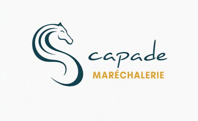 Maréchalerie sud loire 44