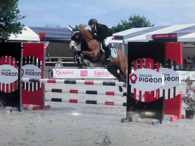 Ponette pfs 9 ans - 1,42m - potentiel p élite