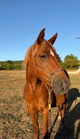 Ponette 7 ans  1.40