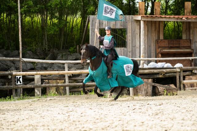 Impostor de salvatella, pure race espagnole, 12 ans